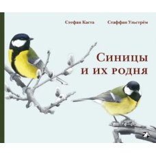 Синицы и их родня