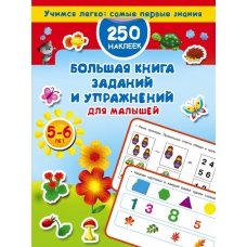 Большая книга заданий и упражнений для малышей 5-6 лет. ДМ