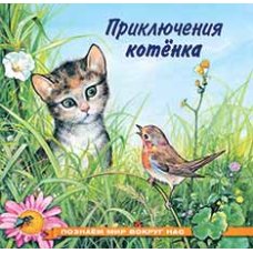 Приключения котенка 